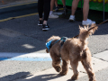 20240530-IMG_5156